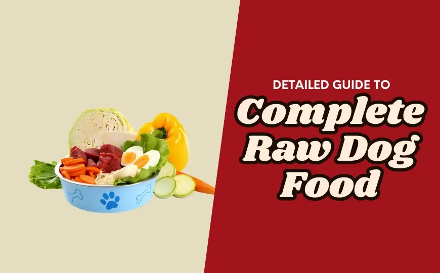 What Is Complete Raw Dog Food? how To Make It